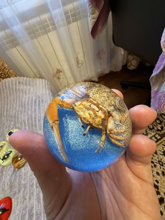 Продам полусферы из эпоксидной смолы