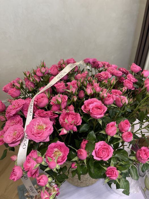 цветочки марго кустовые розы