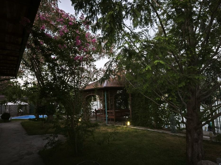 Дача аренда Dacha bor