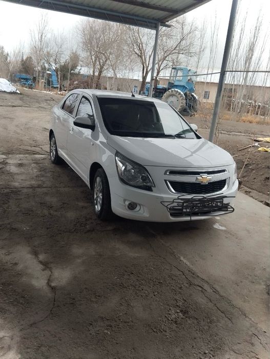 cobalt 2023 полный радной