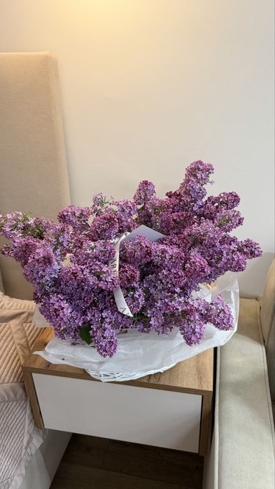 Свежая сирень, г. Алматы (Ауэзовский район)