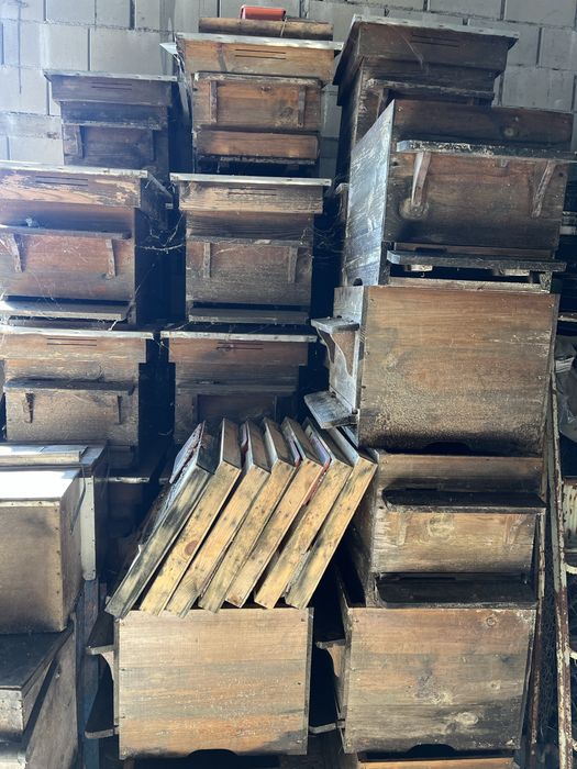 Кошери Дадан-Блат