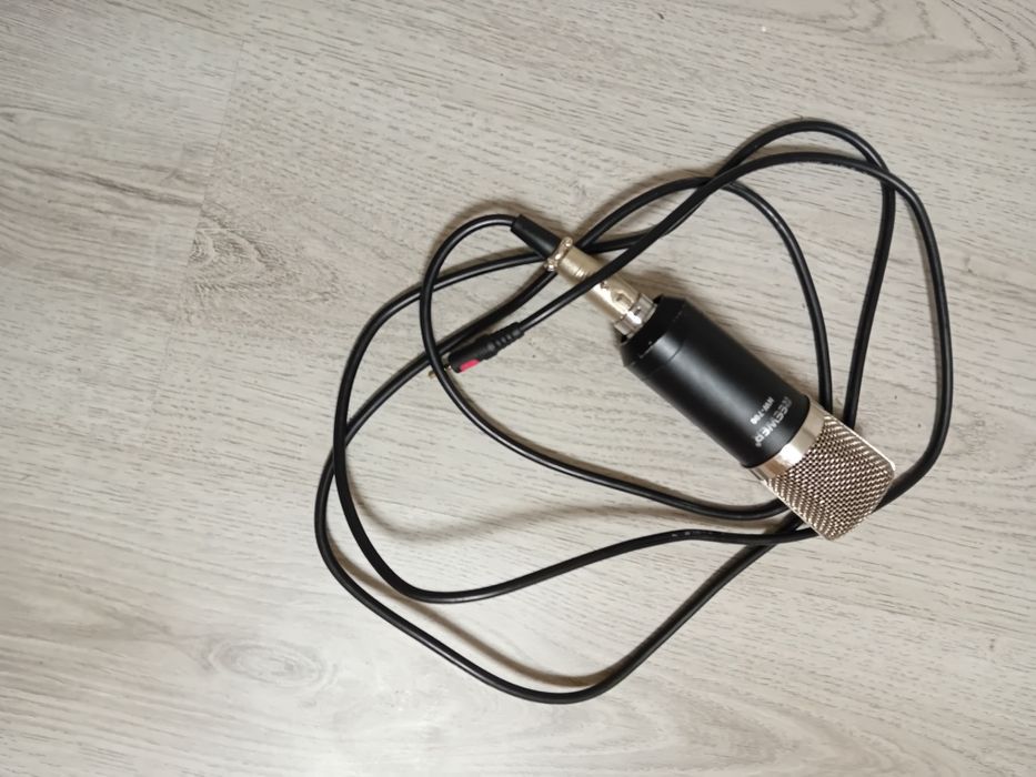 Microfon REEWER  Nw 700