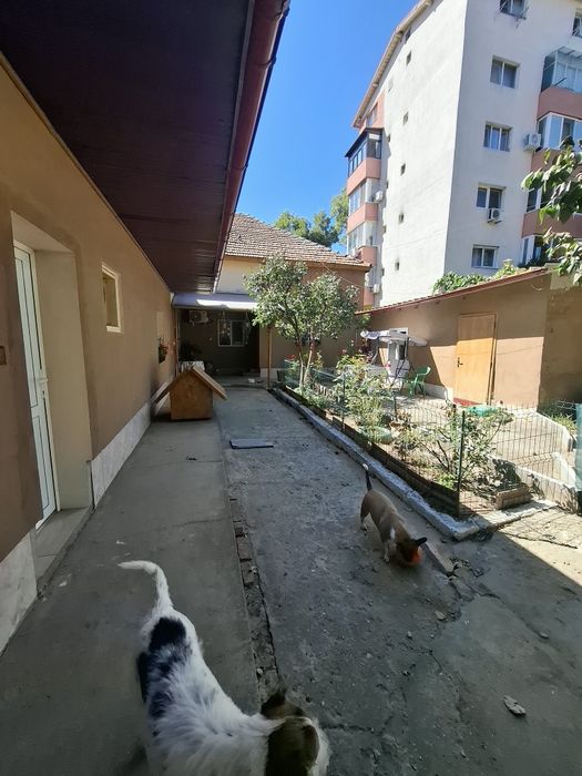 Propietar, Casa de vanzare
