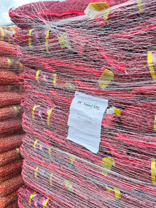 Vand ARPAGIC Olanda - calitate superioara