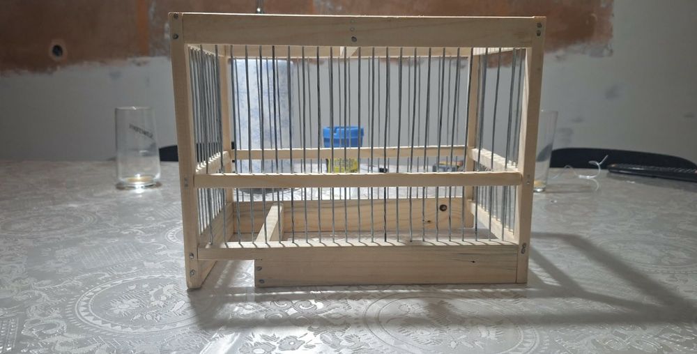 Colivi si prinzatori