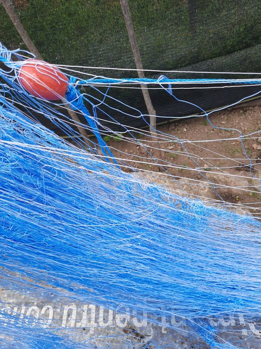 Vand plasa pescuit peste peste 3kg