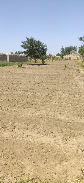 Бог килиш ер огдариш