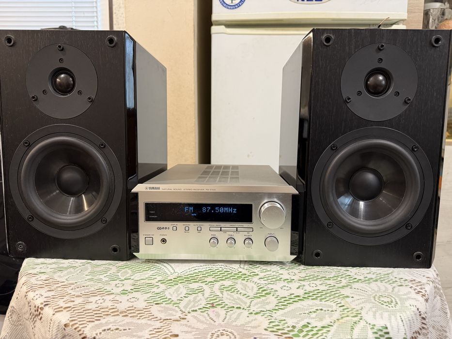 Yamaha NX-100 RX-E100