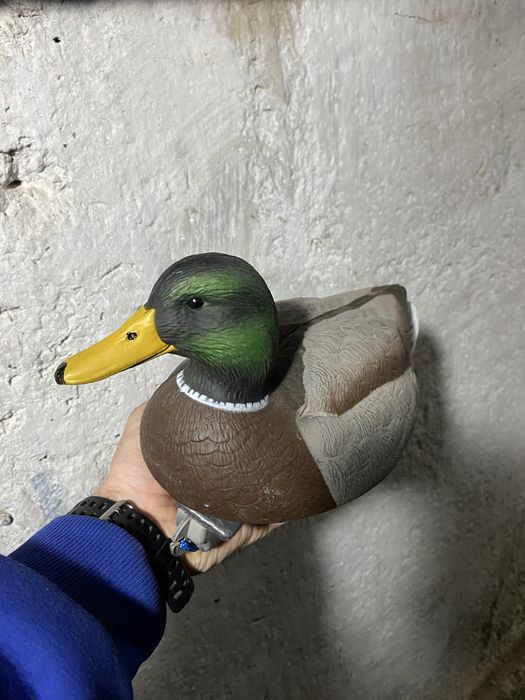 Продам чучела уток.