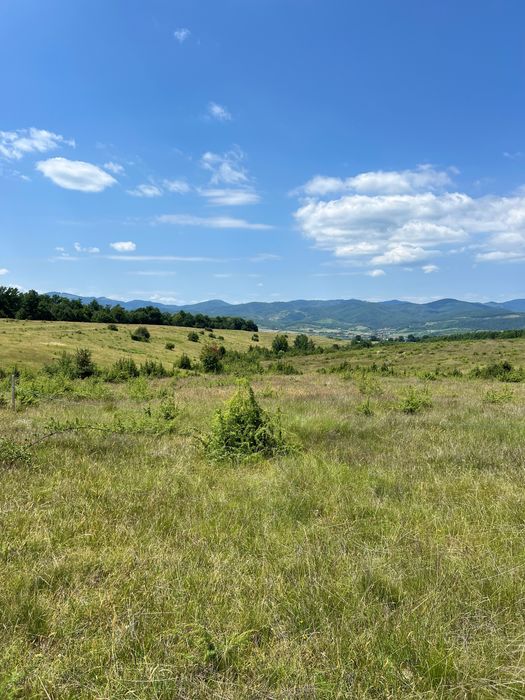 Teren de vânzare 1.216 m² – Petrileni, Bihor (la doar 1 km de Ștei)