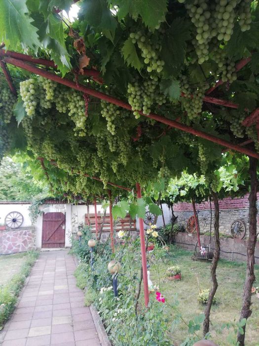 Продава се Къща в с. Згалево, Област Плевен - 120 кв.м за 595 €/кв.м - Снимка #5