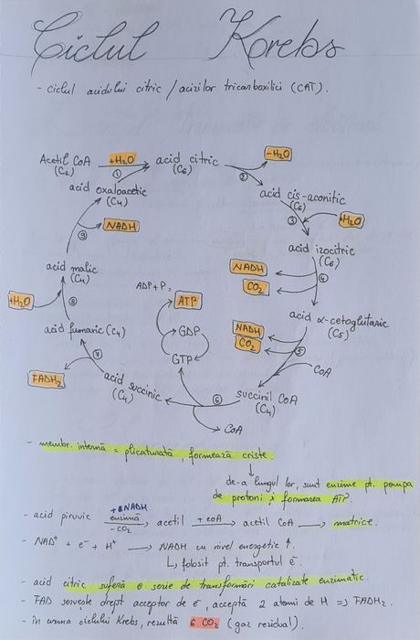 Sinteze Barron's pentru admiterea la medicină