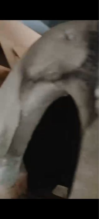 Помещение под коммерческое пространство