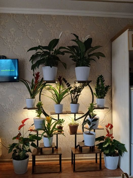 Подставка для цветов || с лампой для растений