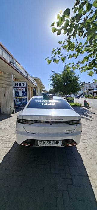 Бевади бирнчи кул 2025 п 50 м