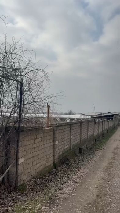 Abu-saxiy bozorga 12 km da joylashgan 80 sotux yer sotiladi