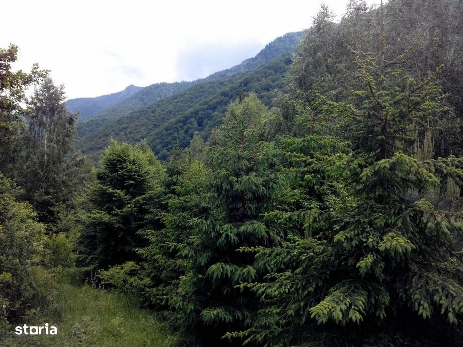 Proprietate rară în inima Retezatului – 5.700 mp teren intravilan