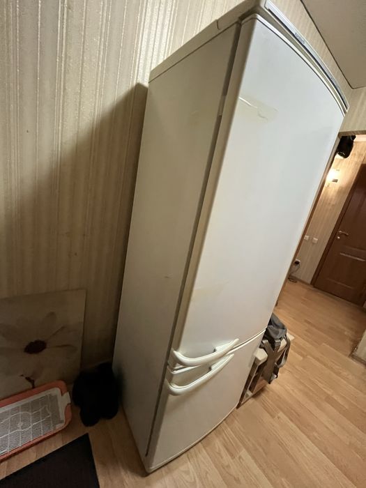 Холодильник eurotech