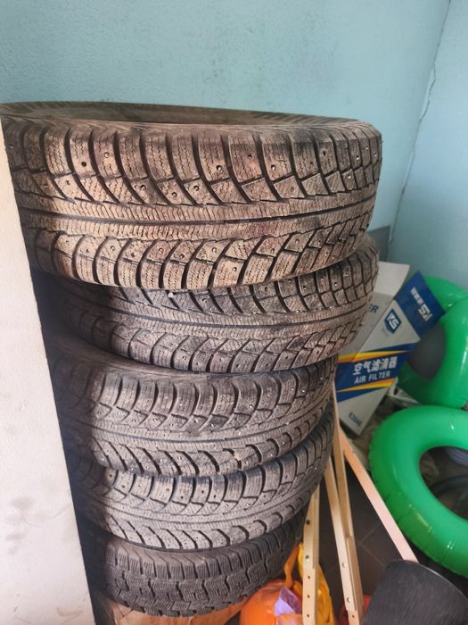 Балоны нива зимные