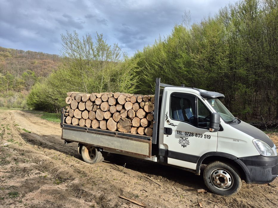 Lemne de foc esență tare.