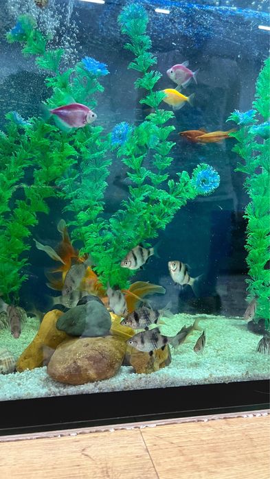 Продам Аквариум