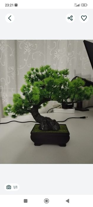 Продам Декор дерево