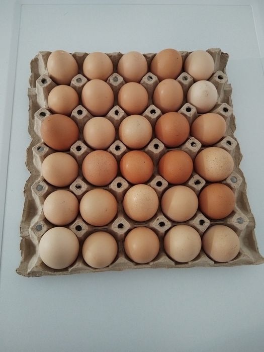 Ouă proaspete de la găini crescute natural