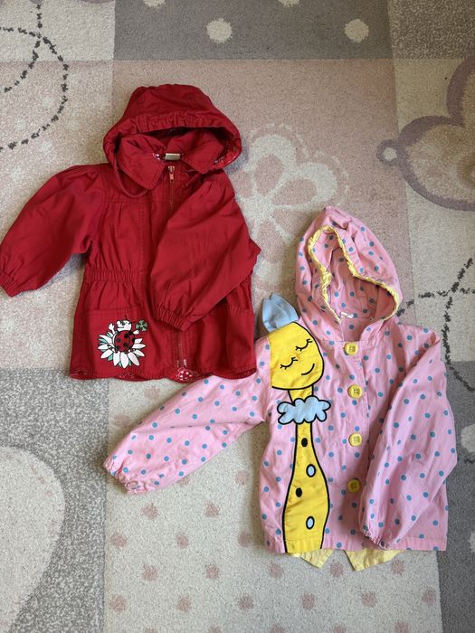 Lot gecute primavara