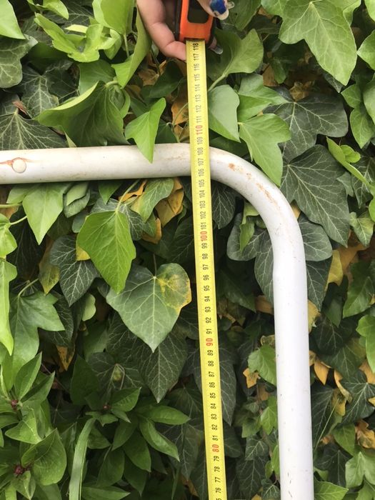 gard de plasă de sârmă și rama de raft metalic