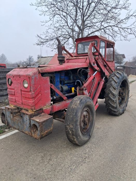 Vând ifron forestier