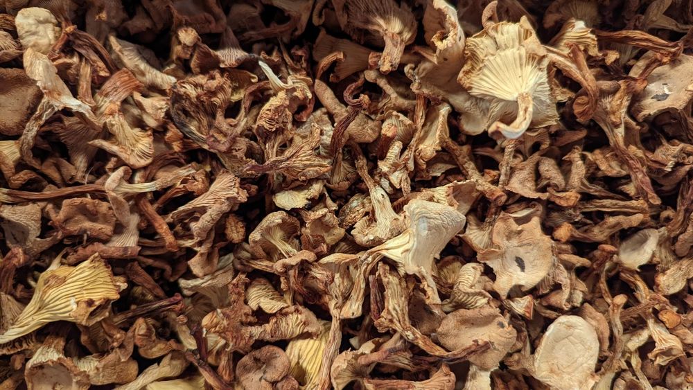 Грибы лисички сушеные