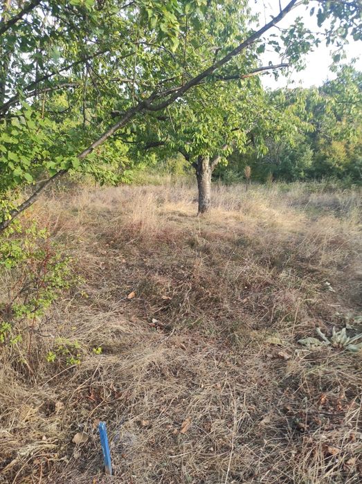 Продава се Парцел в с. Сърнегор, Област Пловдив - 433 кв.м за 18 €/кв.м - Снимка #3