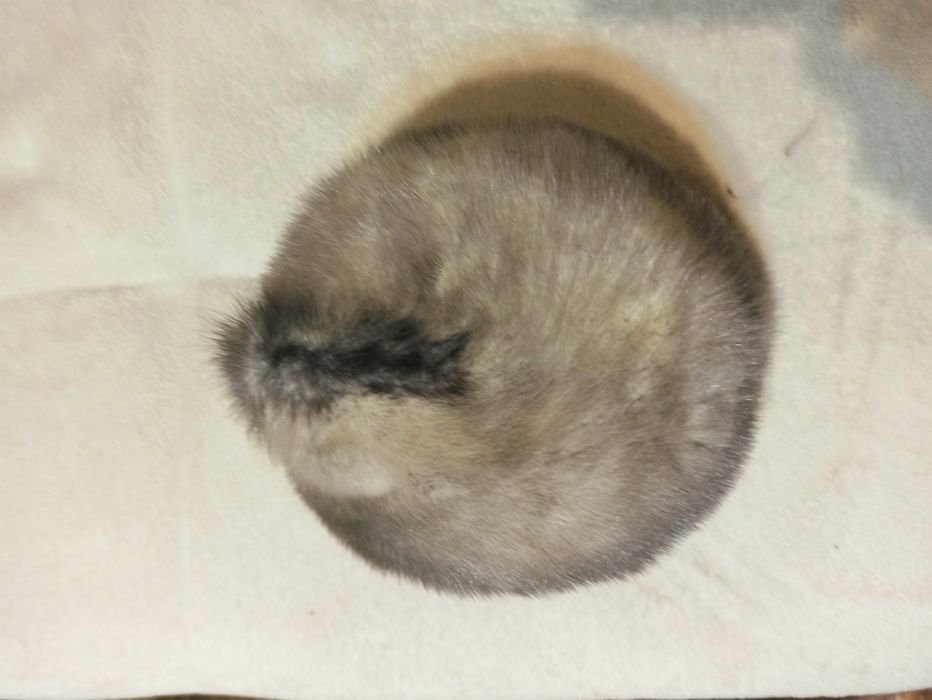 Дамска шапка от визон