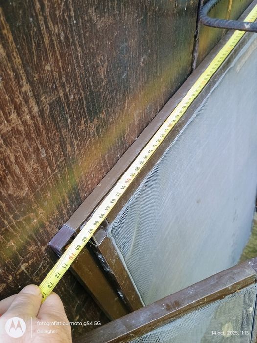 3 plase insecte culoare maro