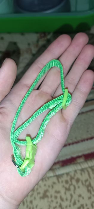 Посуды для кошки: 2 Миски, латок+лопатка, лежанка, расческа, ошейник