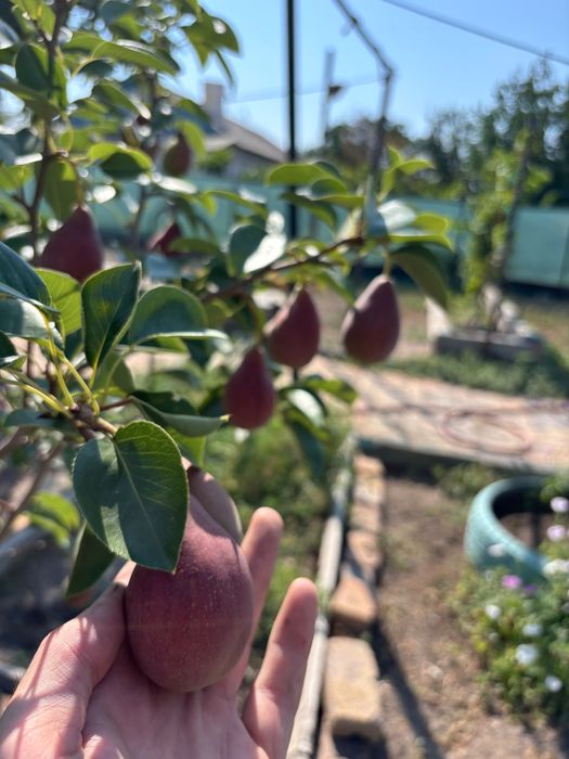 Продам дом в поселке Конырат