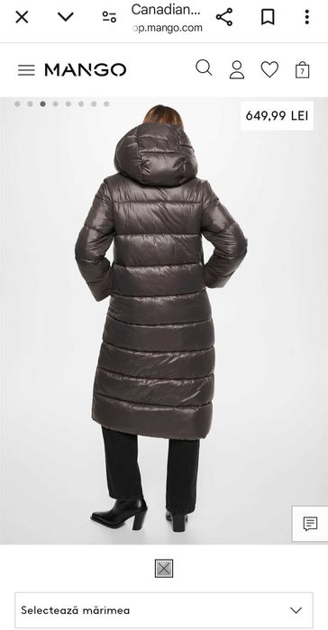 Canadiana  matlasata Mango