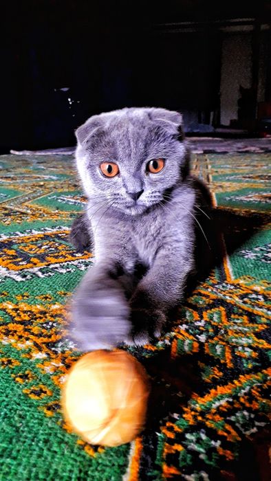 Ginekologik stulda lezbiyen video