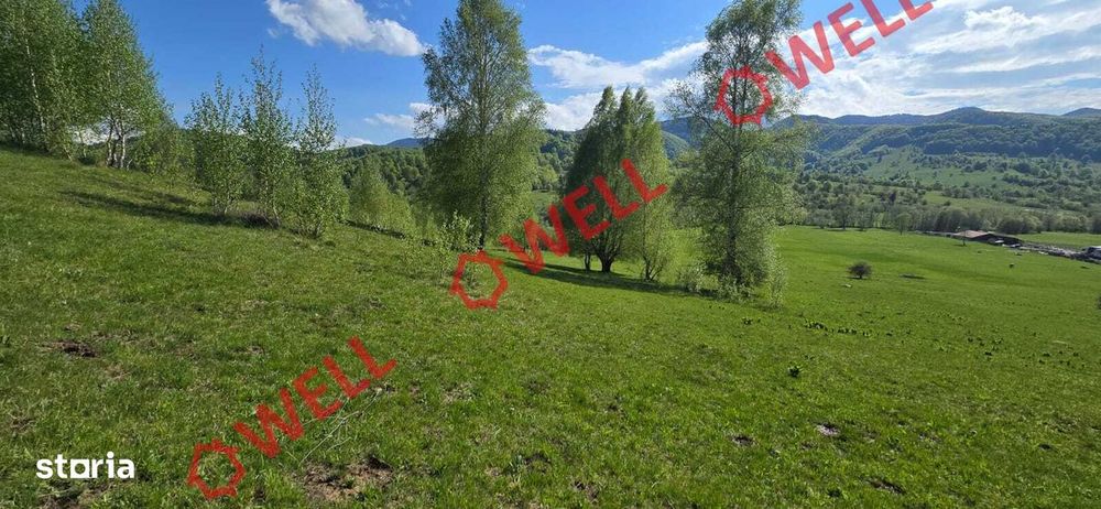 Teren extravilan de vânzare în Vama Buzăului!