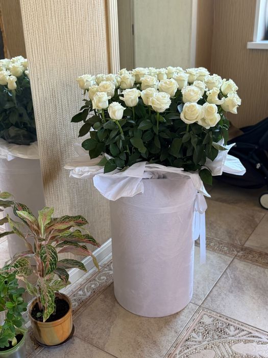 Цветы цветок гул роза букет