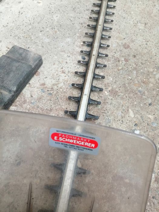 Fierastrau tuns gard viu