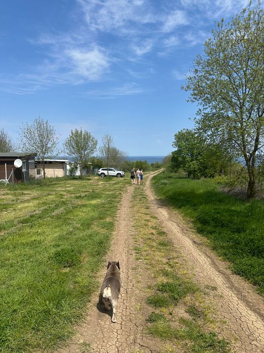 Бунгало ,,Dream Come True “