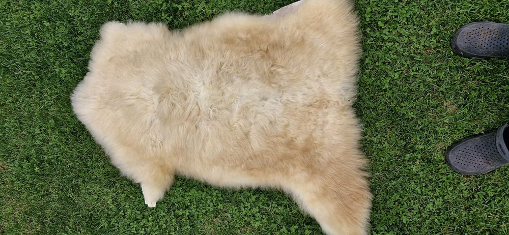 Професионално обработени агнешки кожи