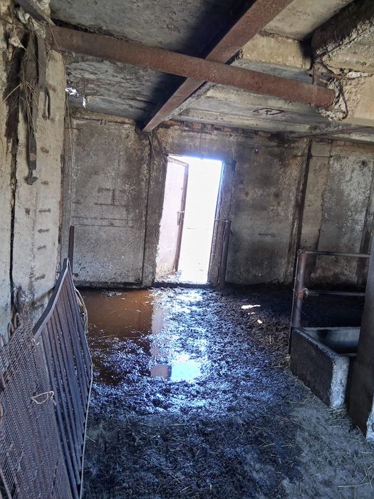 Продаю дом  село жанакала