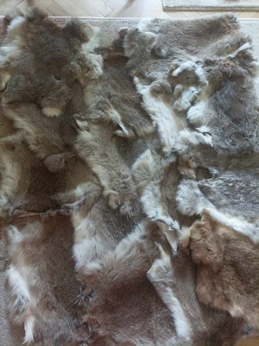 Продавам нови обработени Заешки кожи