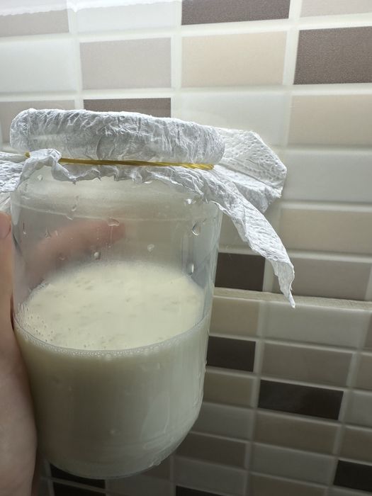 Кефирена гъба / Кефир