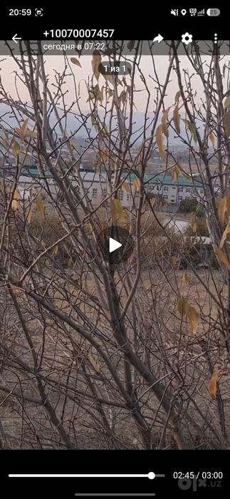 Кошработ тумани кошогоч да йер участка