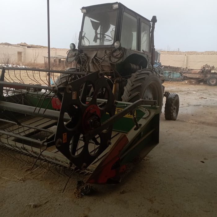 Jatki sholi beda bugʻdoy  o'rish