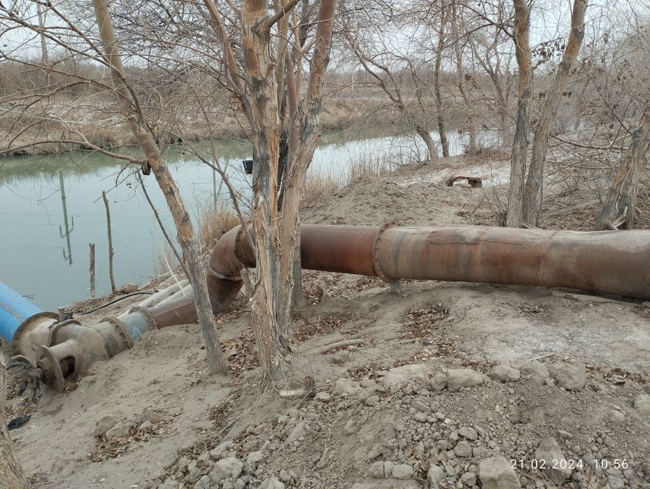 Altay naso'z faqat dinam yo'q! Narxi kelishiladi